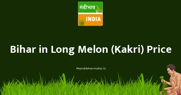 Long Melon (Kakri) भाव
